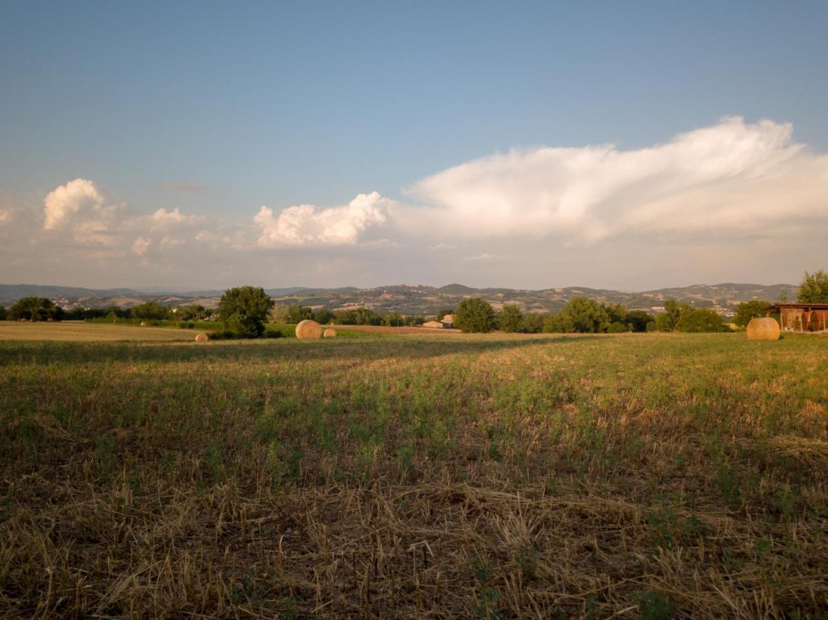 Agriturismo Consalvi Valentina Marsciano Exteriér fotografie