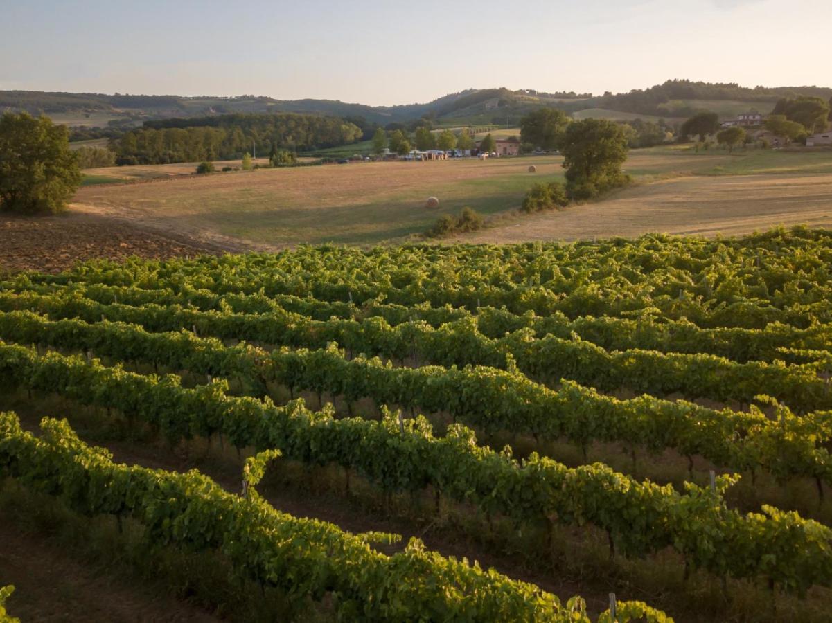 Agriturismo Consalvi Valentina Marsciano Exteriér fotografie